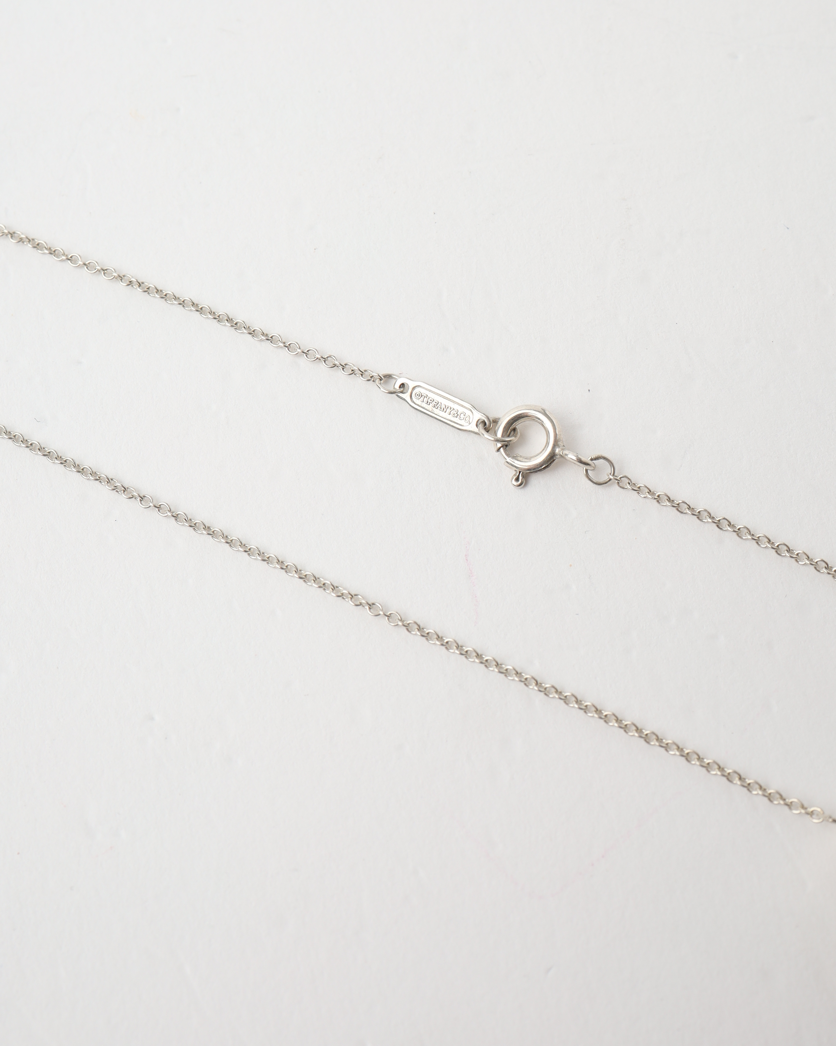Tiffany & Co 1837 Double Ring Necklace