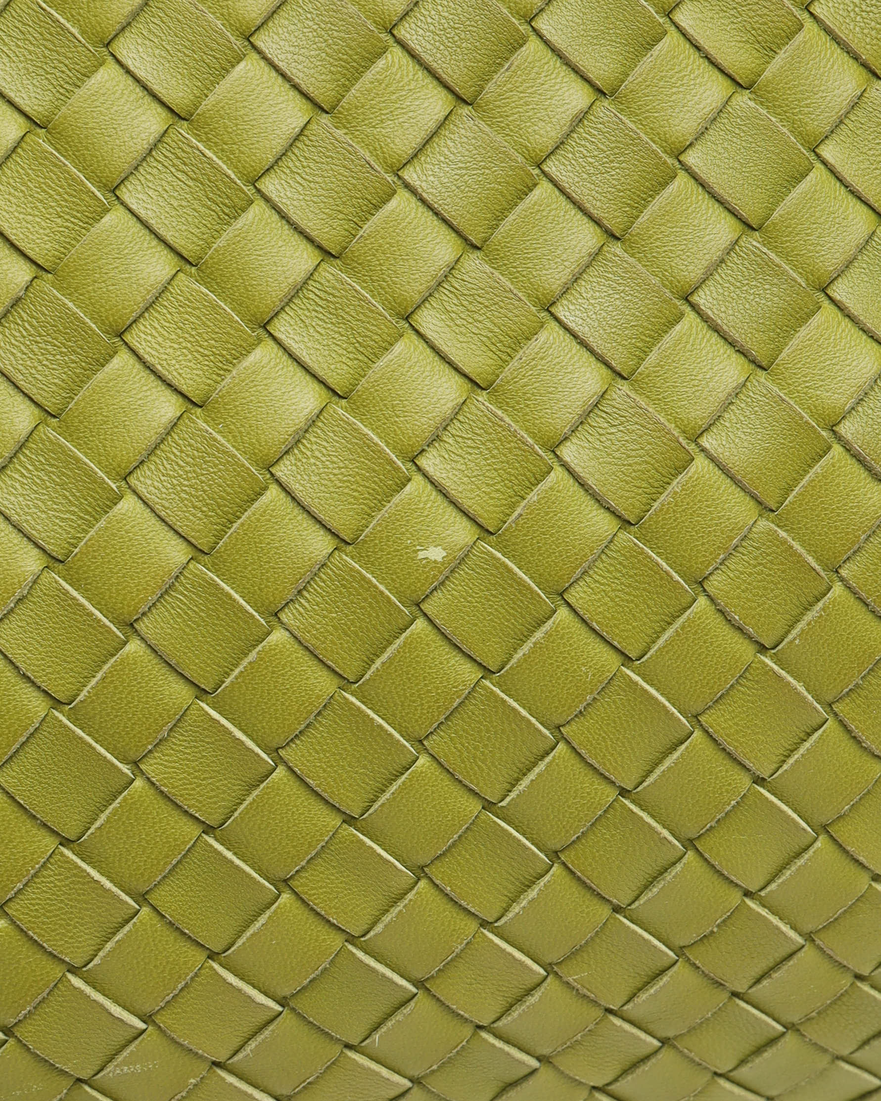 Bottega Veneta Large Intrecciato Hobo Bag