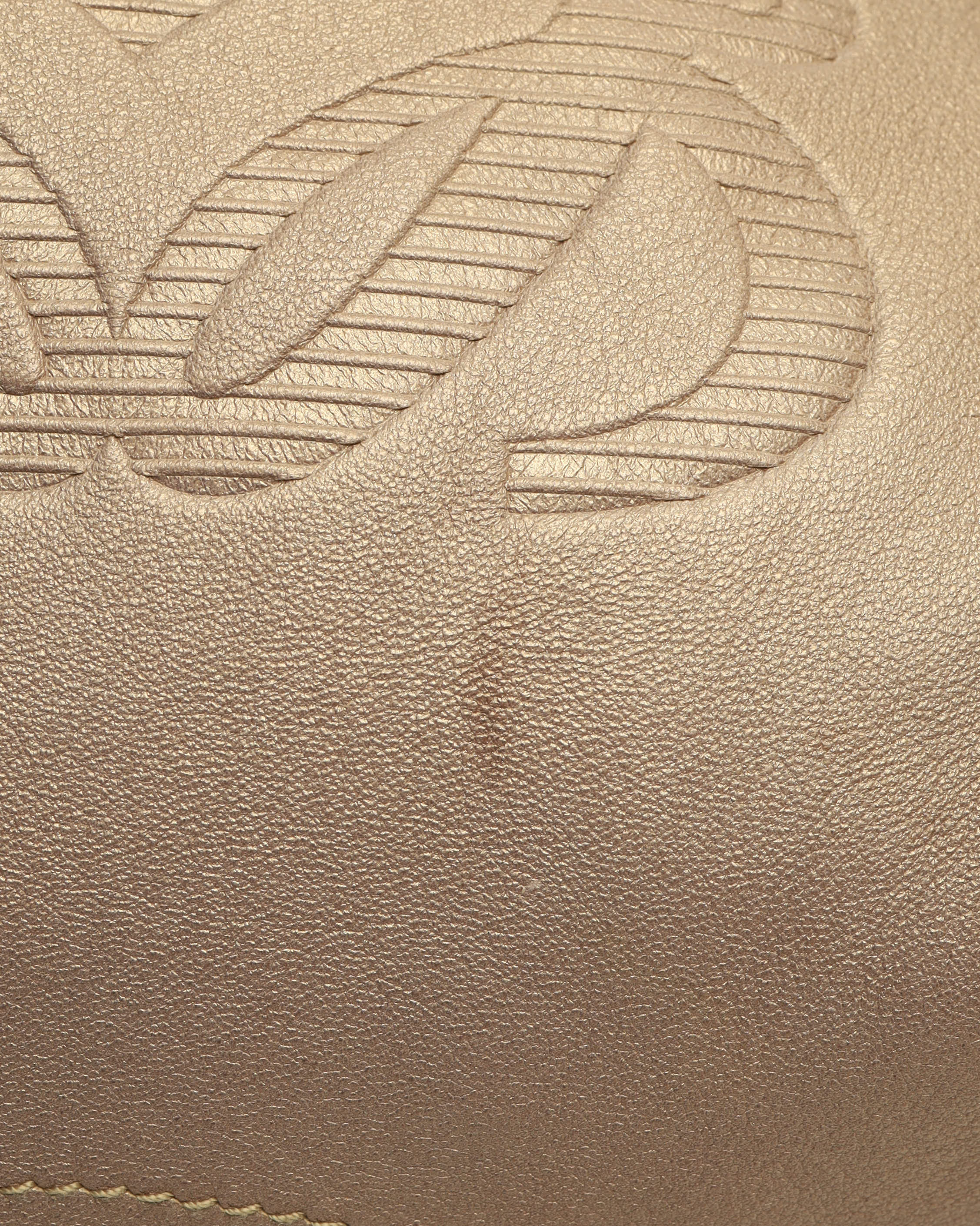 Loewe Aire Hobo Bag