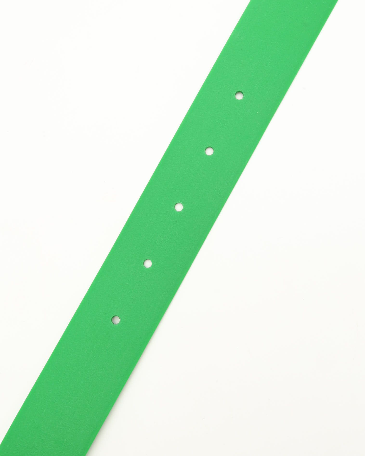 Bottega Veneta Green Rubber Belt In Green