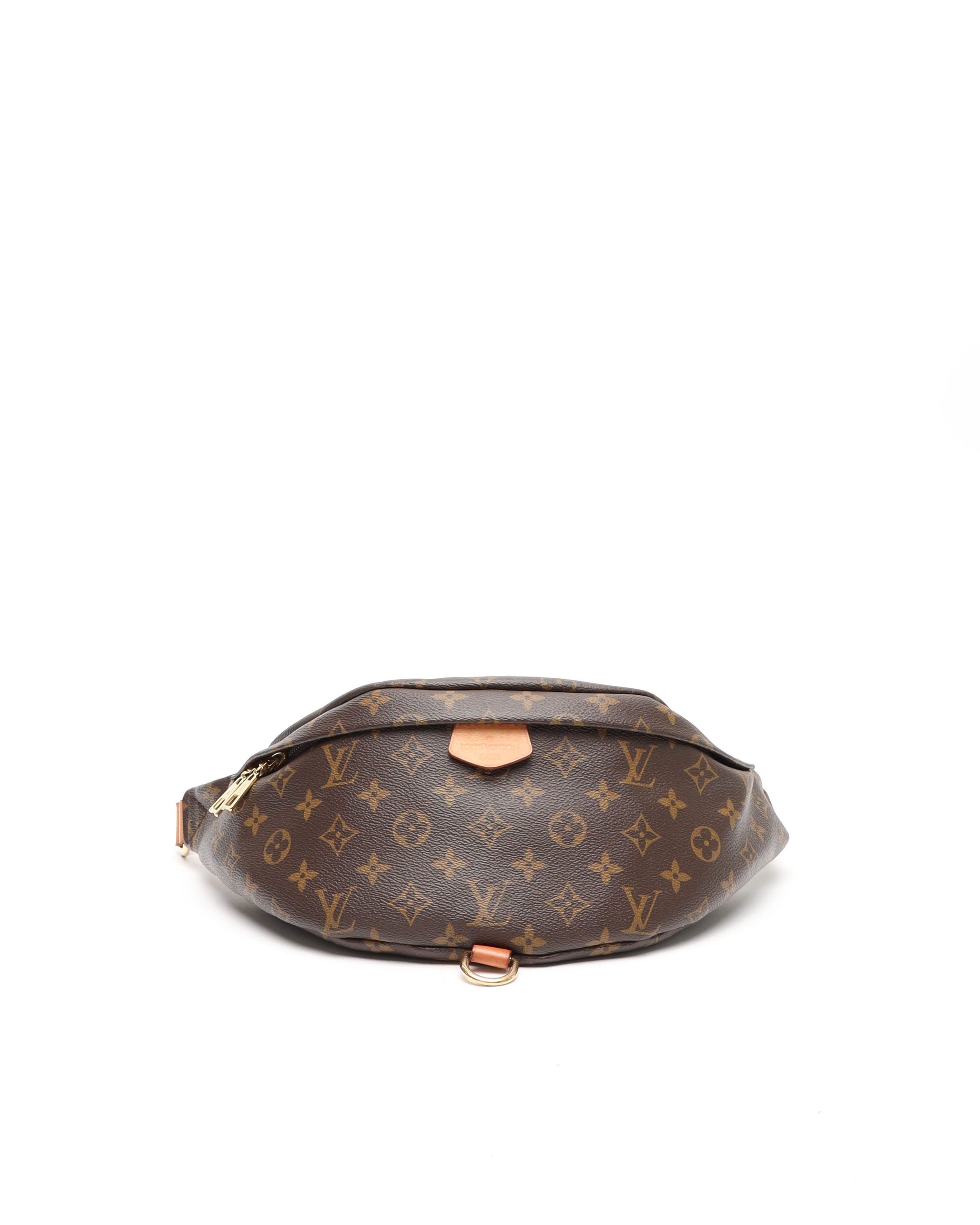 Louis Vuitton Monogram Bumbag