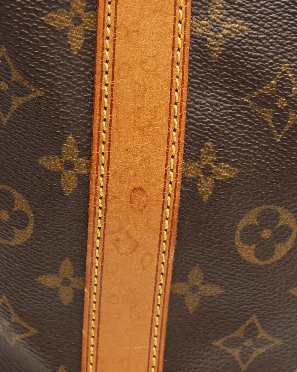 Pre-owned Louis Vuitton Monogram Randonné Pm Bag