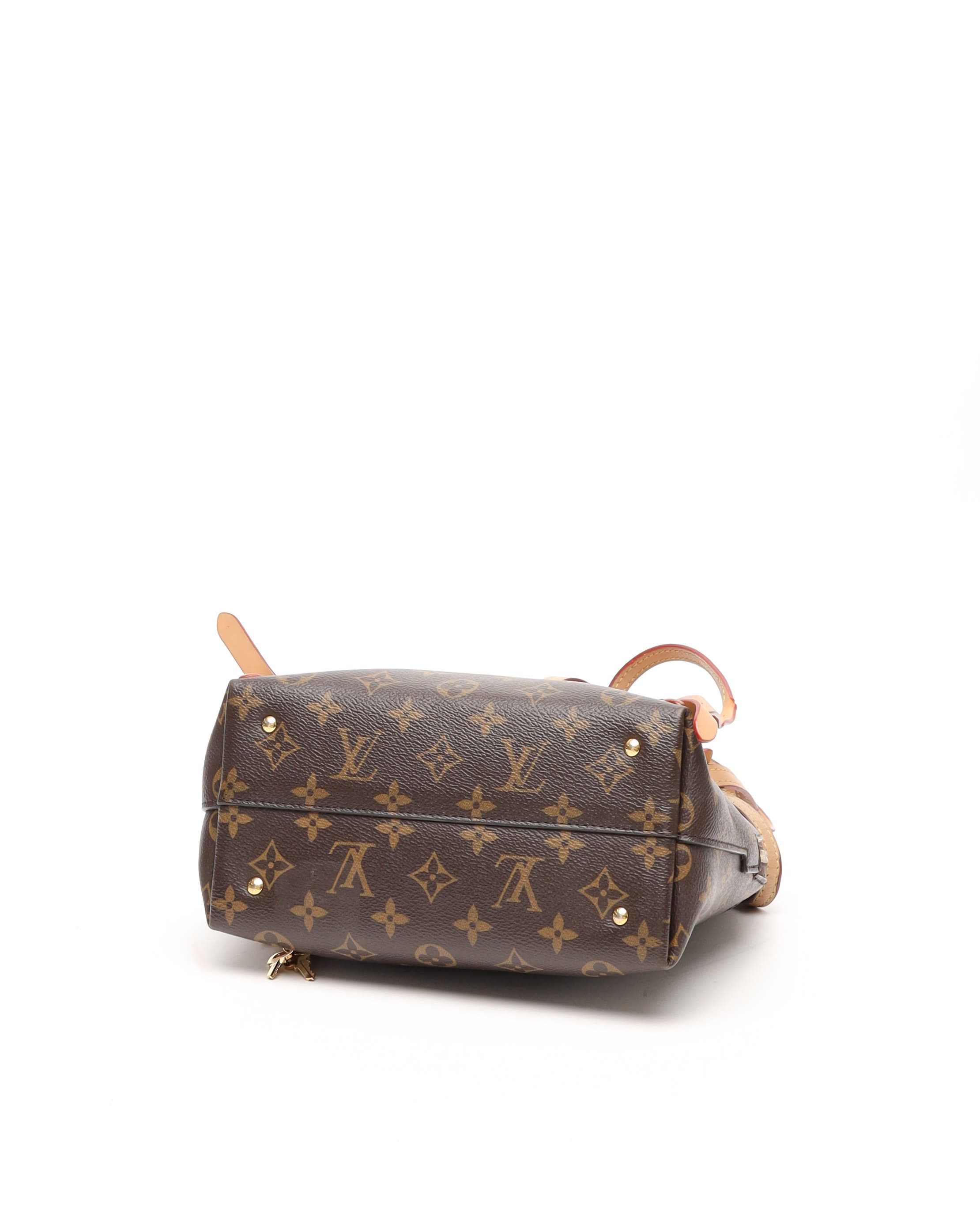 Pre-owned Louis Vuitton Monogram Moon Backpack