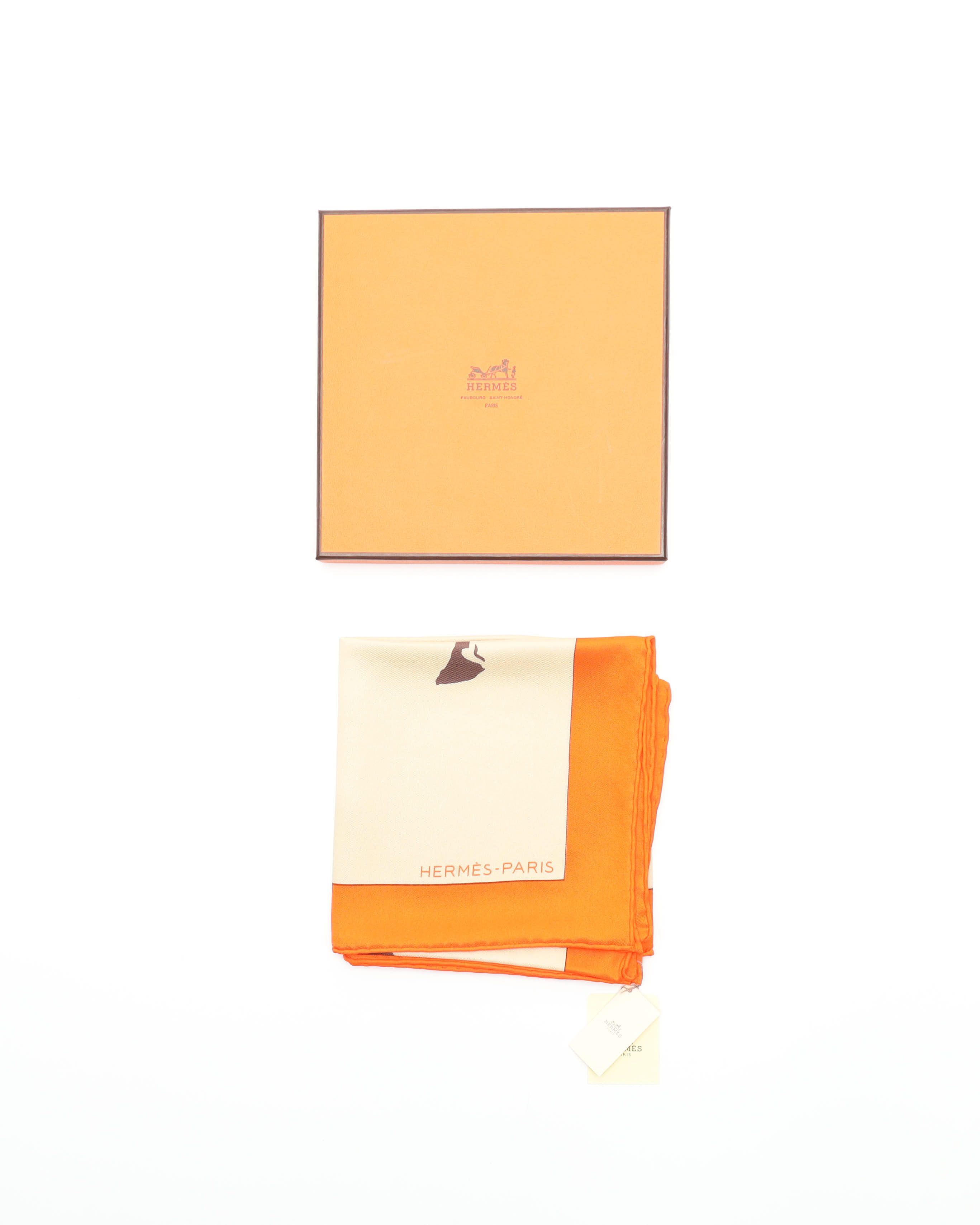 Pre-owned Hermes Hermès 70 Zingaro Silk Scarf