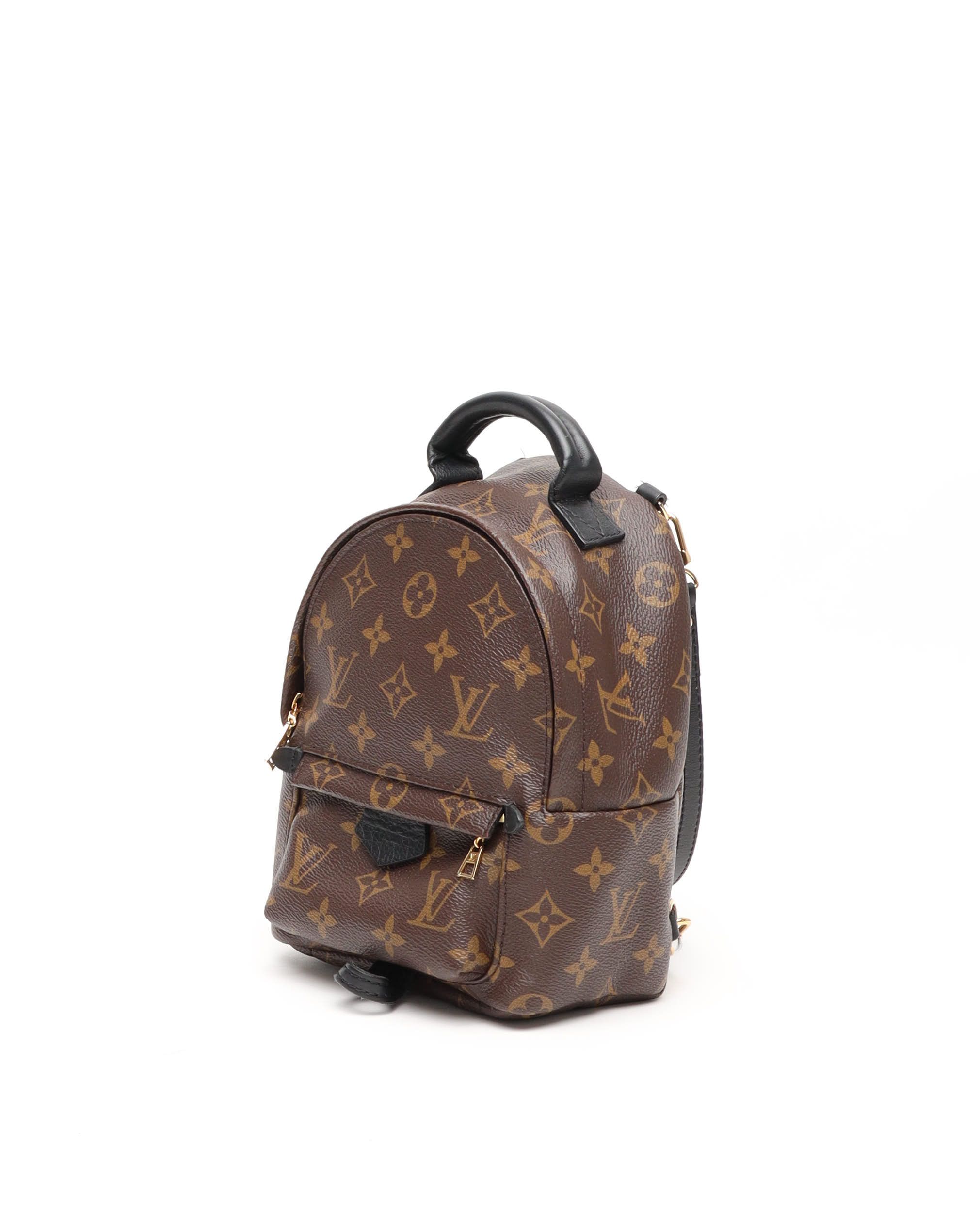 Pre-owned Louis Vuitton Monogram Mini Palm Springs Backpack