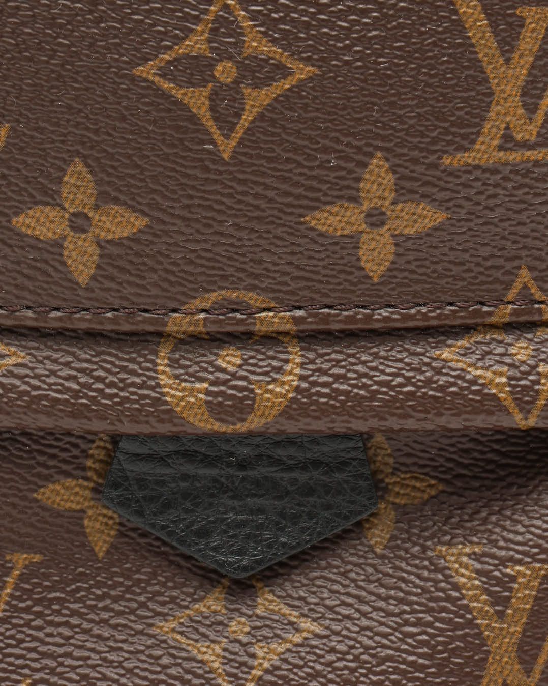 Pre-owned Louis Vuitton Monogram Mini Palm Springs Backpack