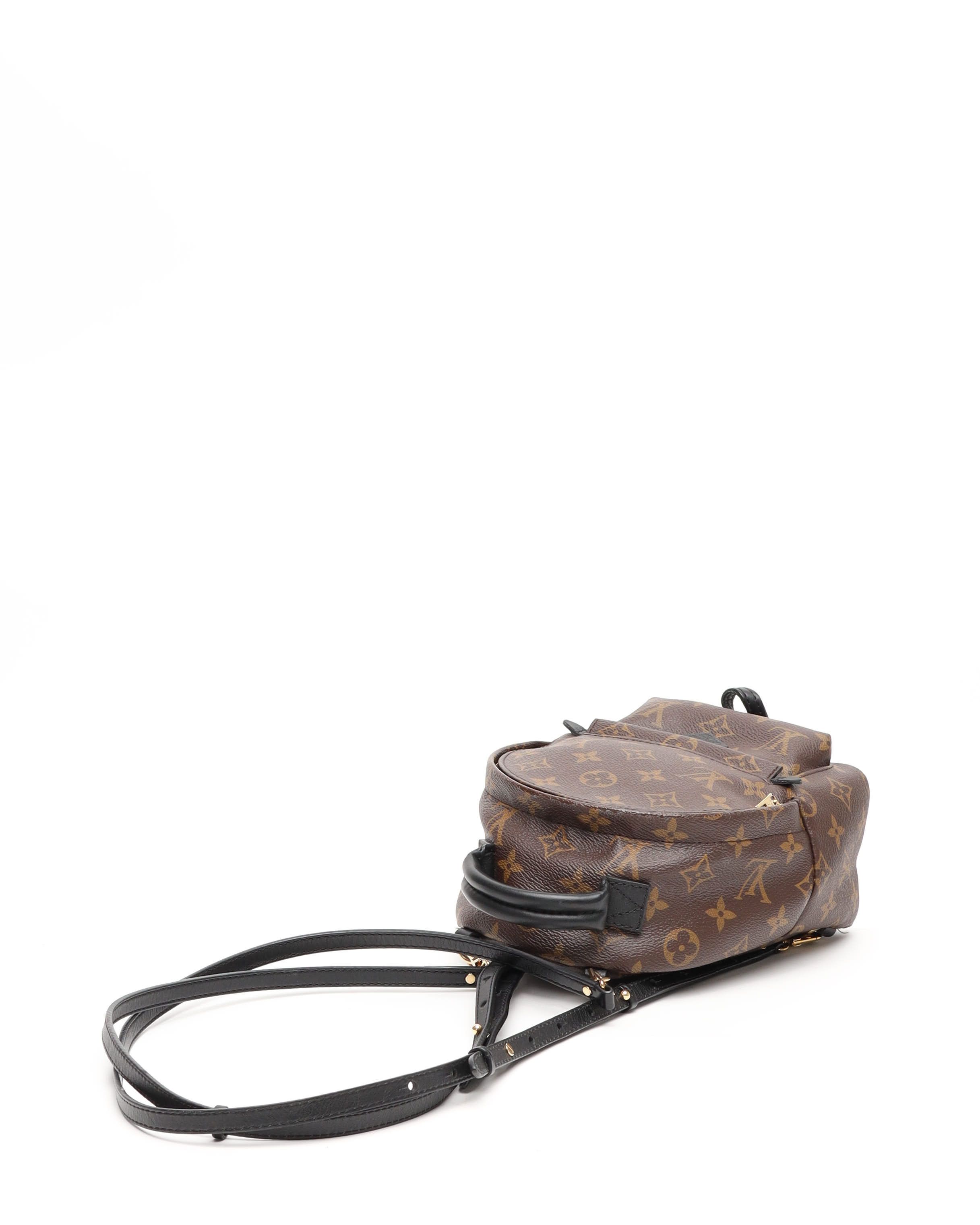 Pre-owned Louis Vuitton Monogram Mini Palm Springs Backpack