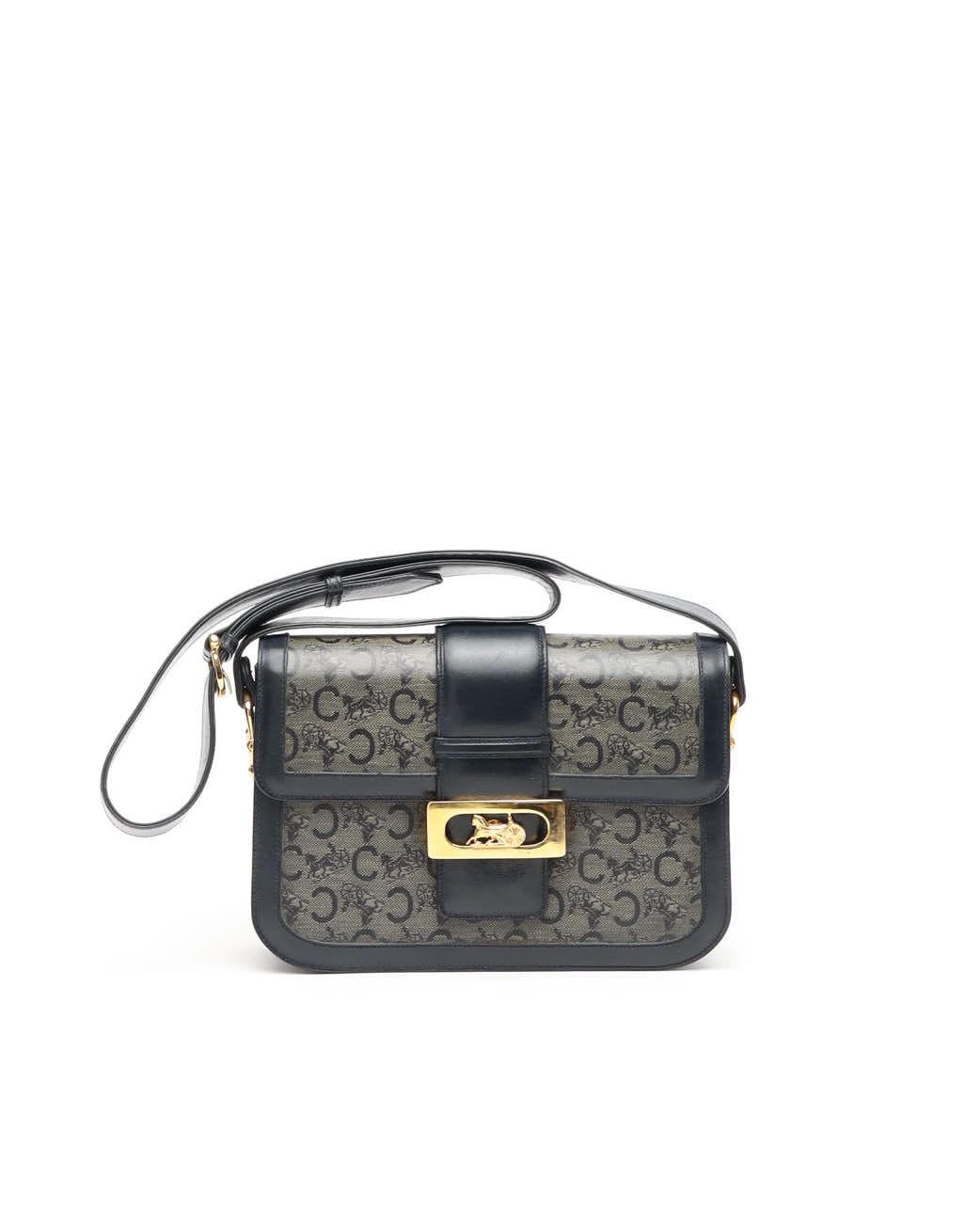 Celine Céline C Carriage Bag In Blue