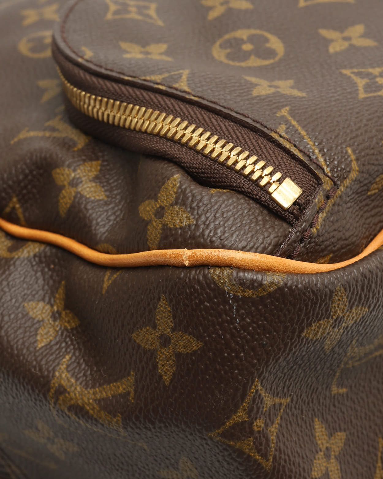 Pre-owned Louis Vuitton Monogram Evasion Bag