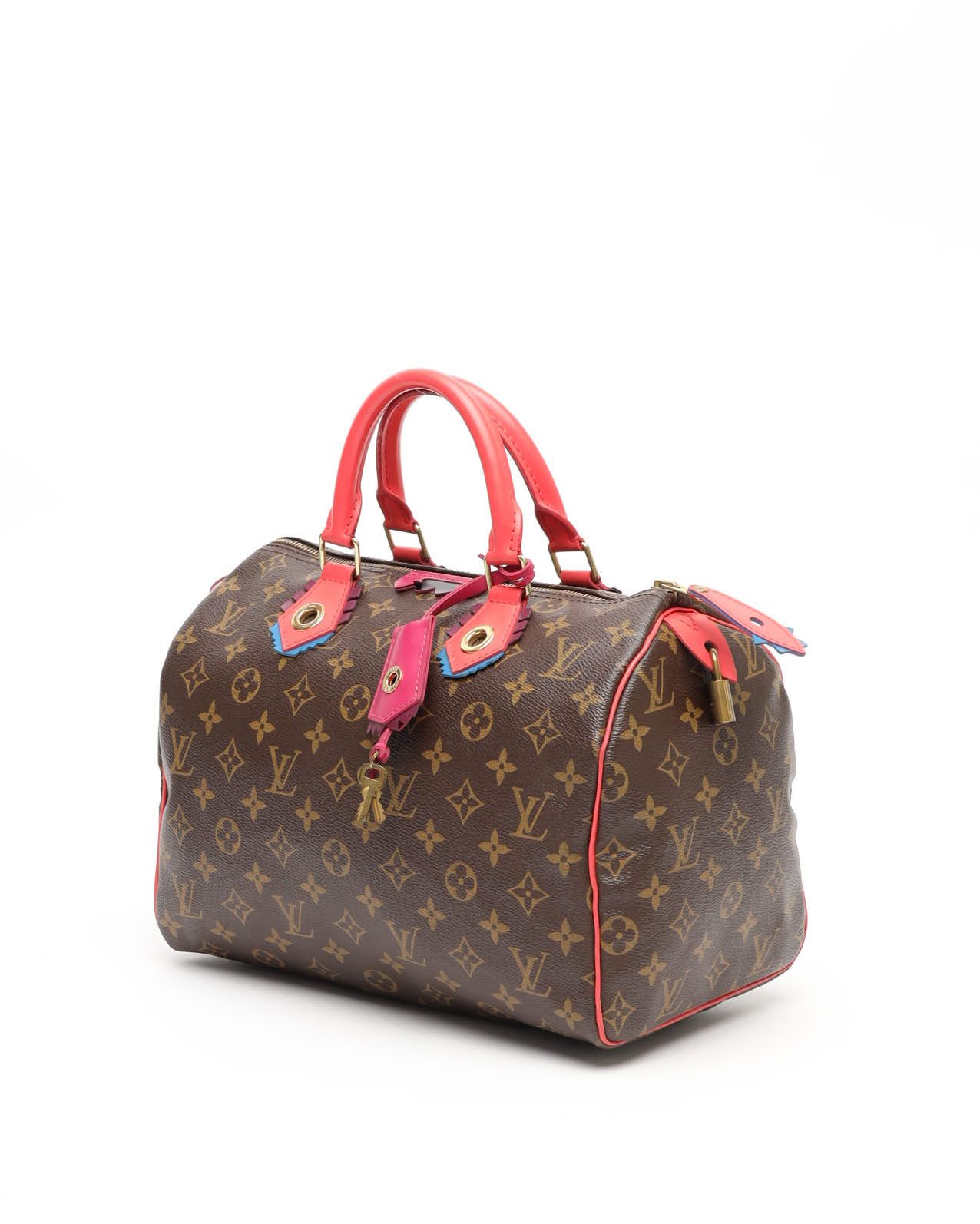 Pre-owned Louis Vuitton Totem Speedy 30 Bag In Brown