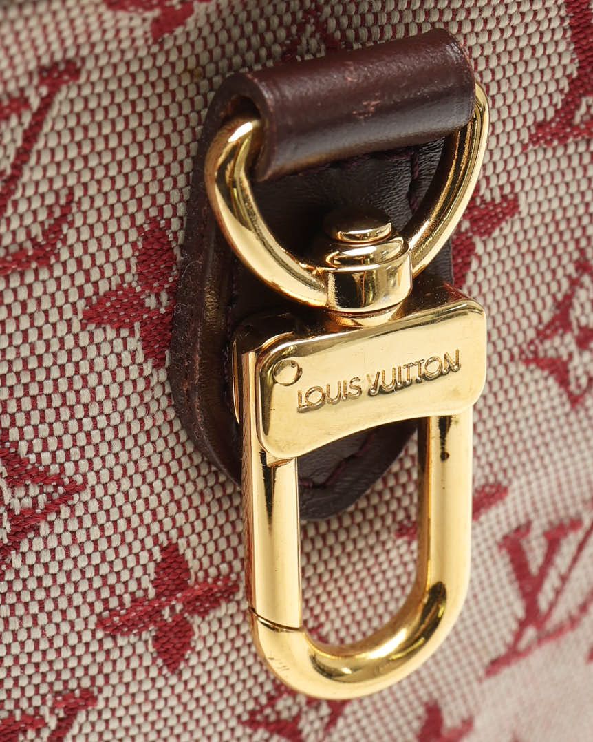 Pre-owned Louis Vuitton Mini Lin Camera Bag In Multi