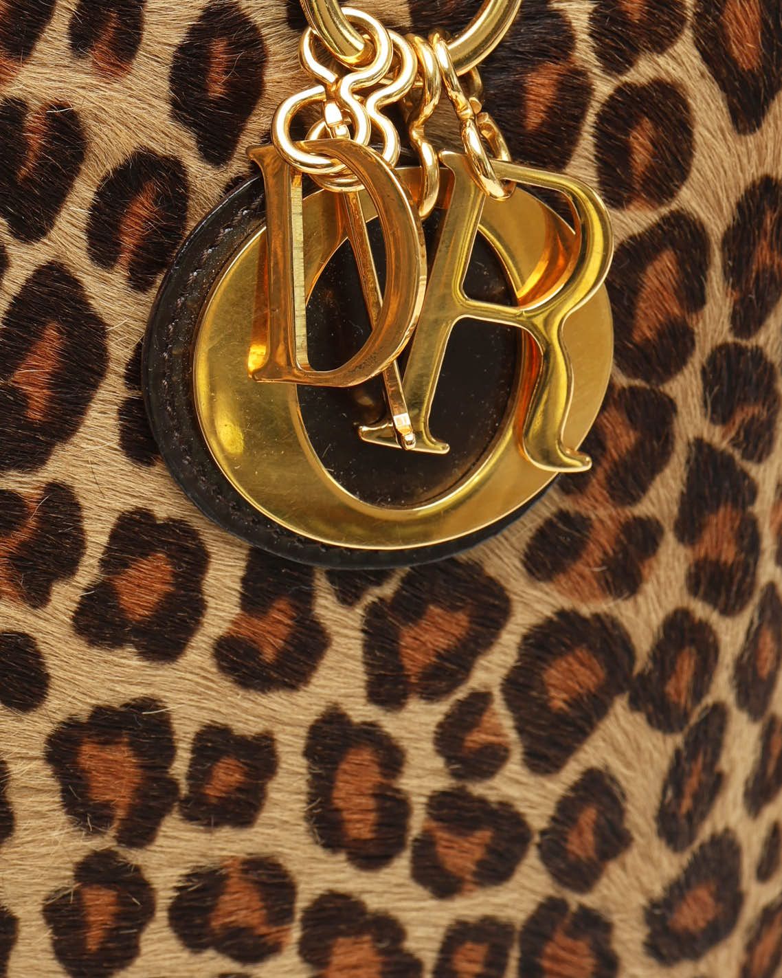 Dior Christian  Large Leopard Lady  Bag In Multi