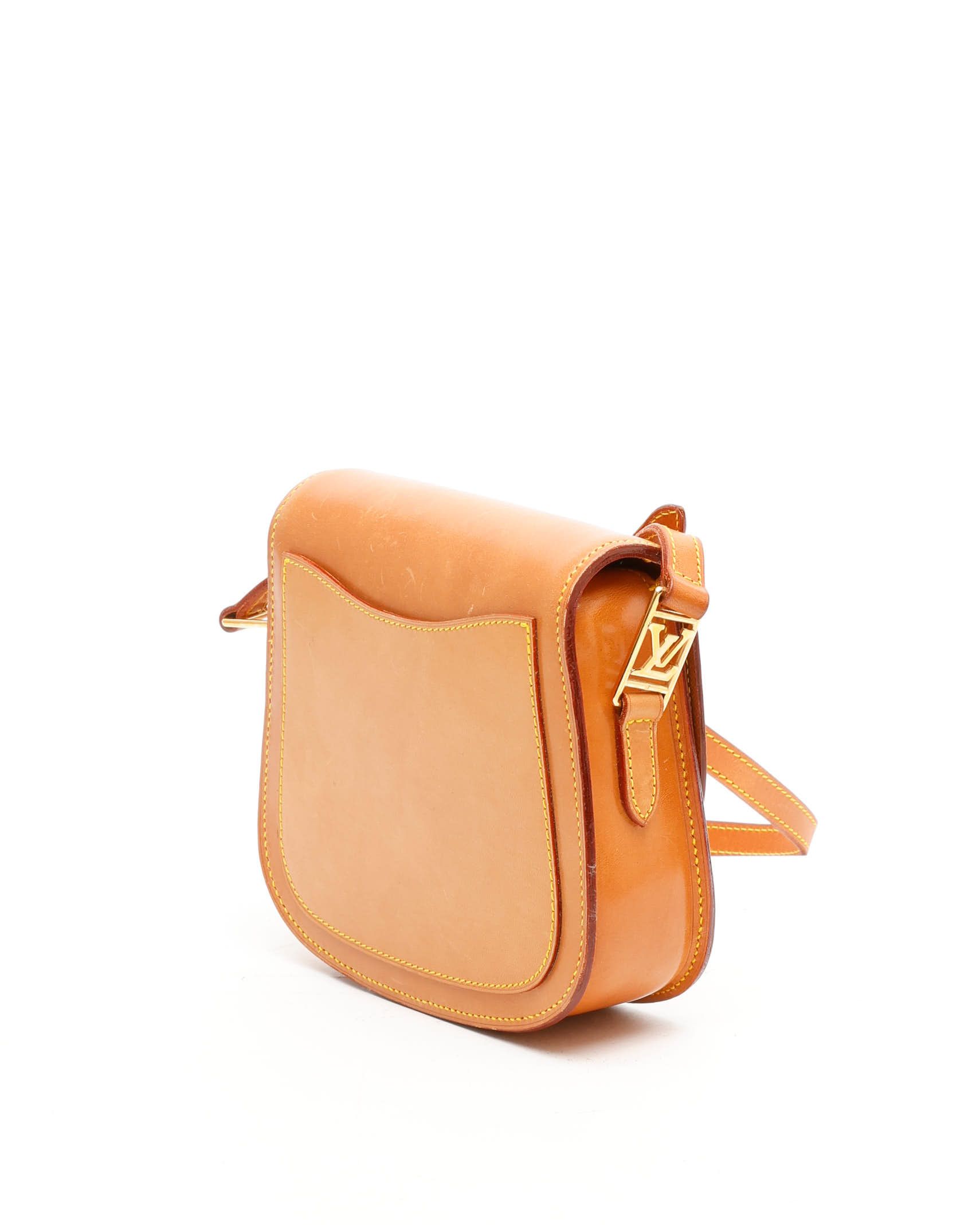 LOUIS VUITTON Pre-owned Nomad Saint Cloud Mm Bag In Brown