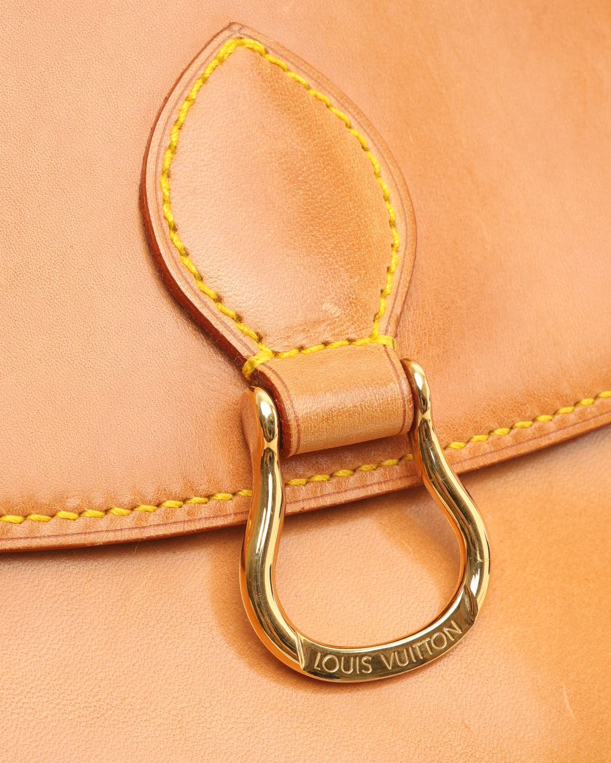 LOUIS VUITTON Pre-owned Nomad Saint Cloud Mm Bag In Brown