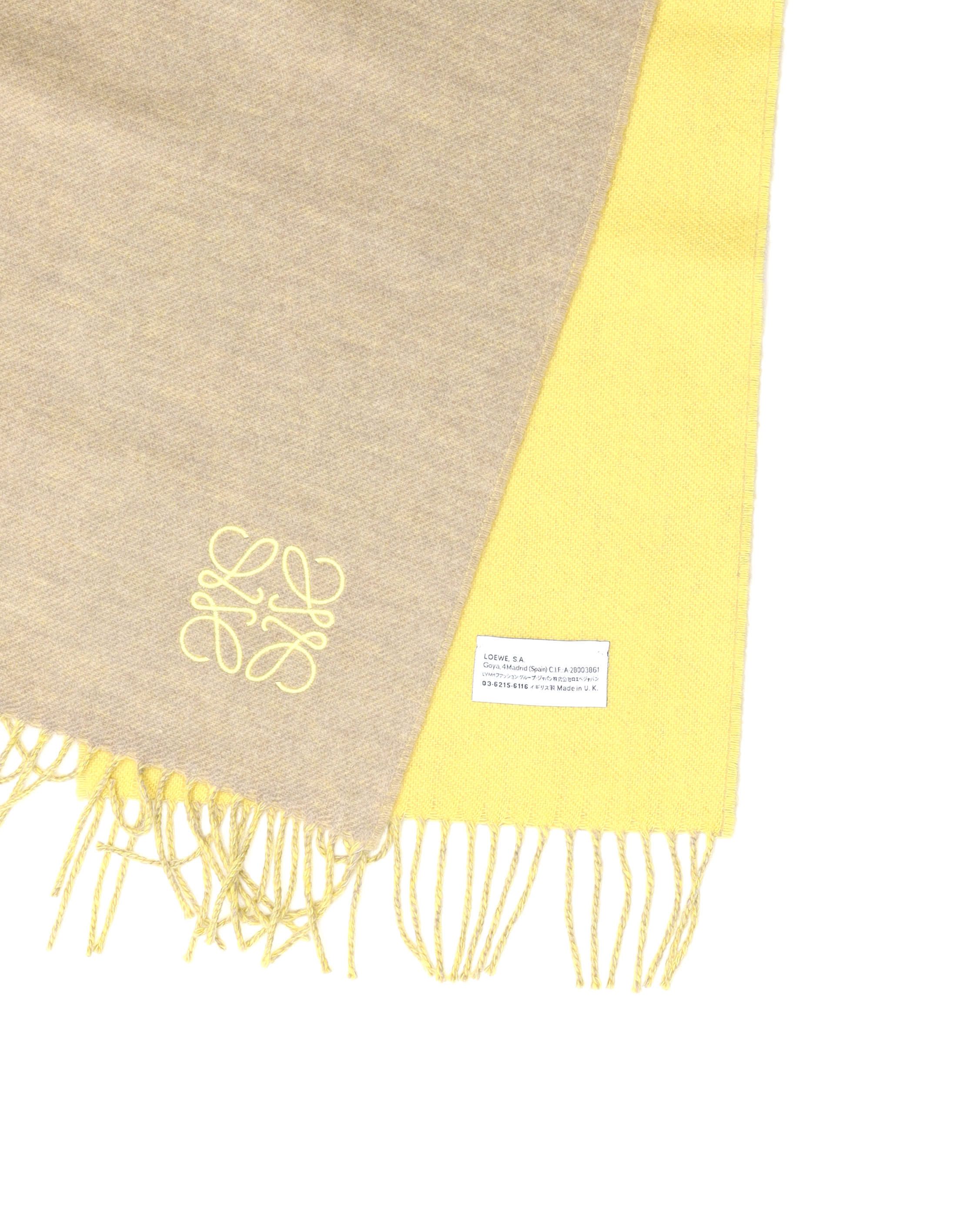 Loewe Cashmere Scarf In Neutral