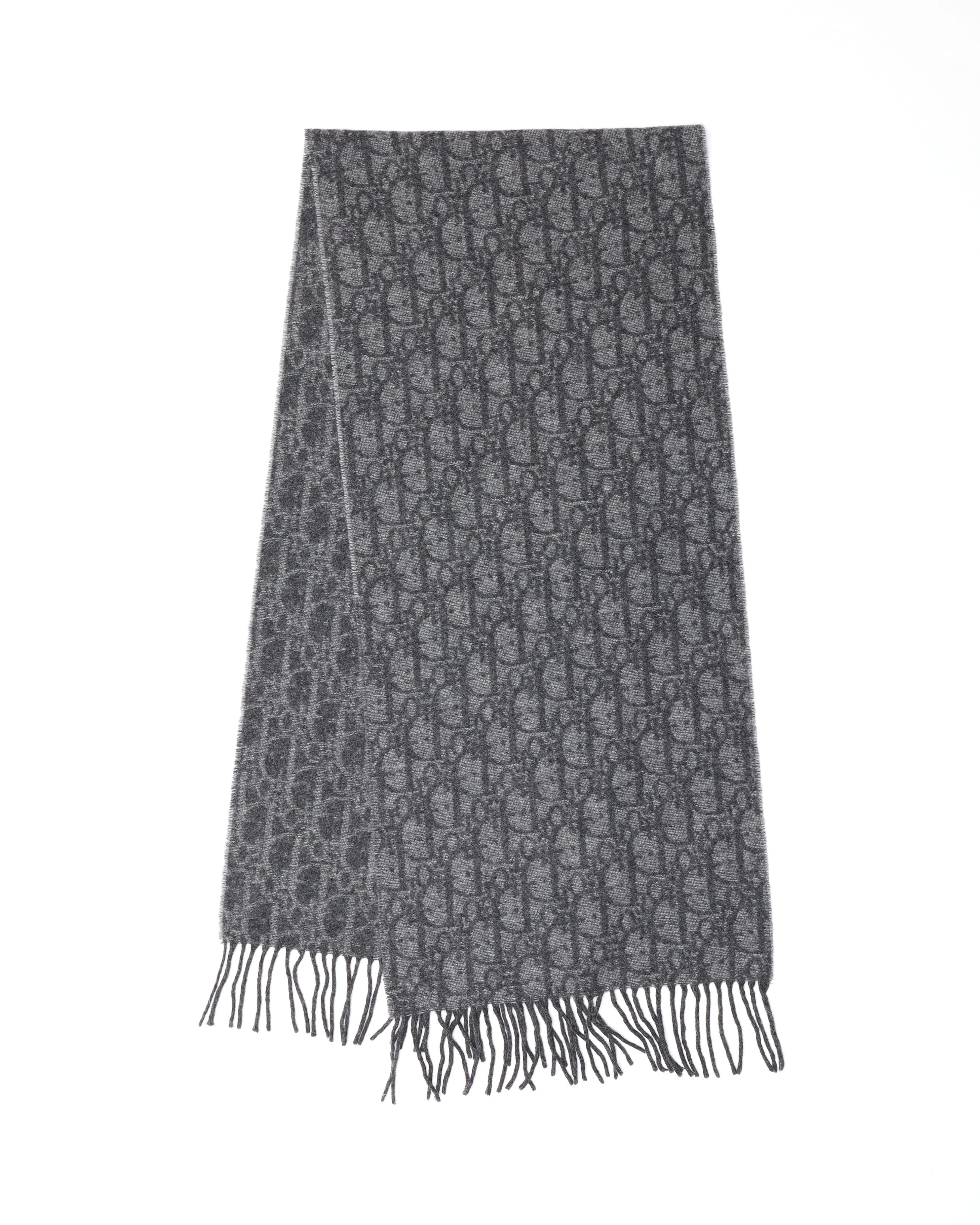 Dior Christian  Trotter Wool Scarf In Gray