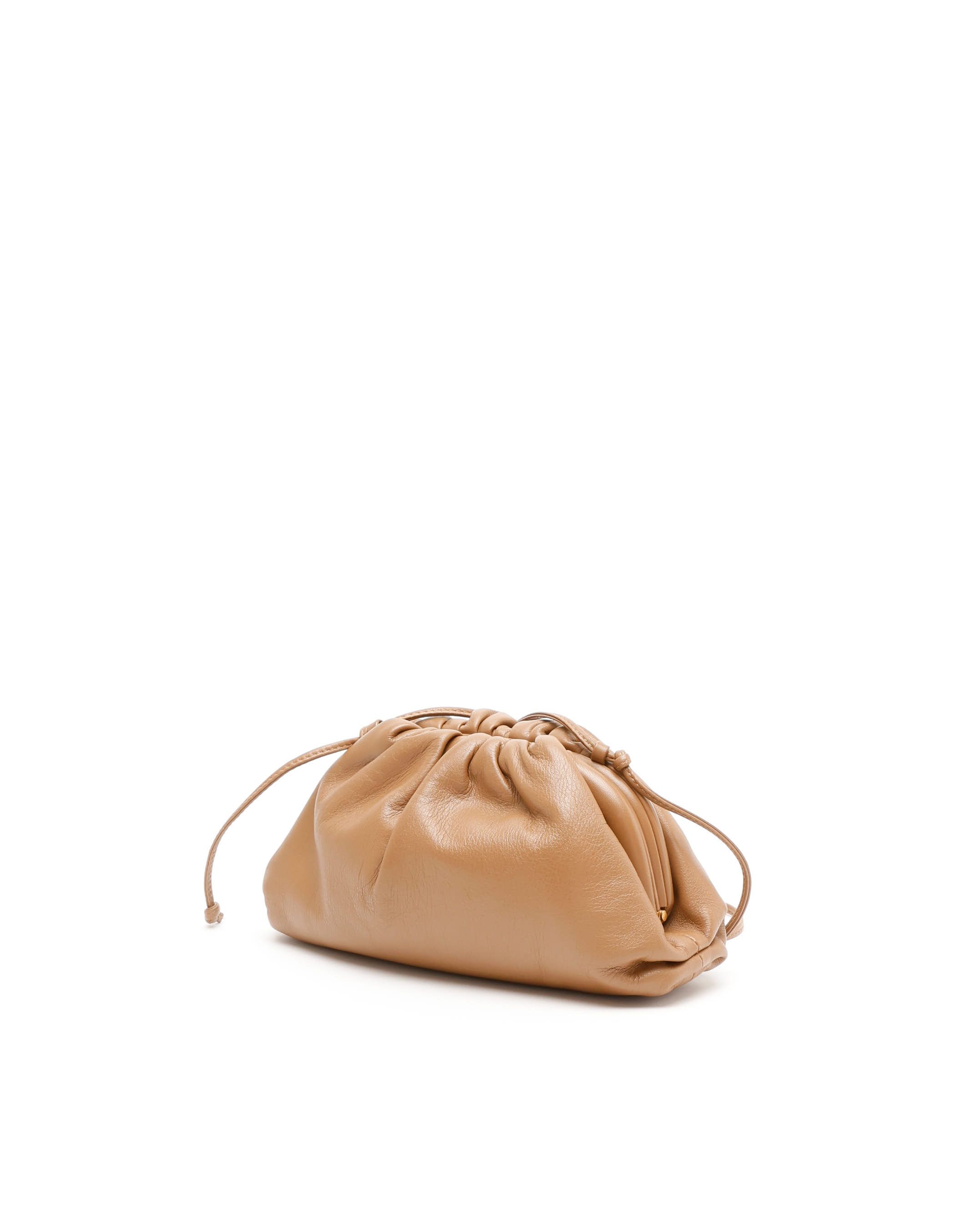 Bottega Veneta Mini The Pouch Bag In Brown