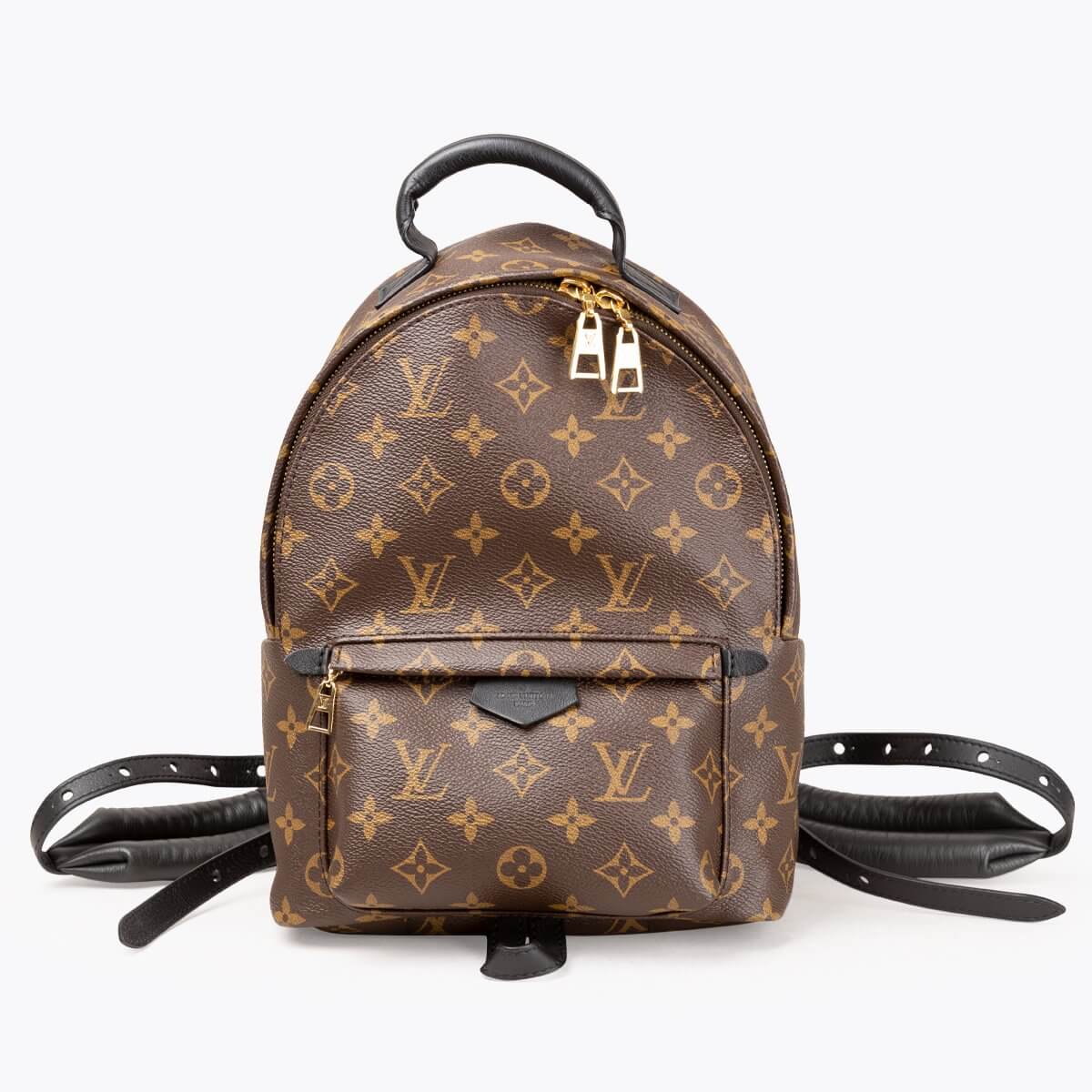 LOUIS VUITTON Palm Springs Backpack PM