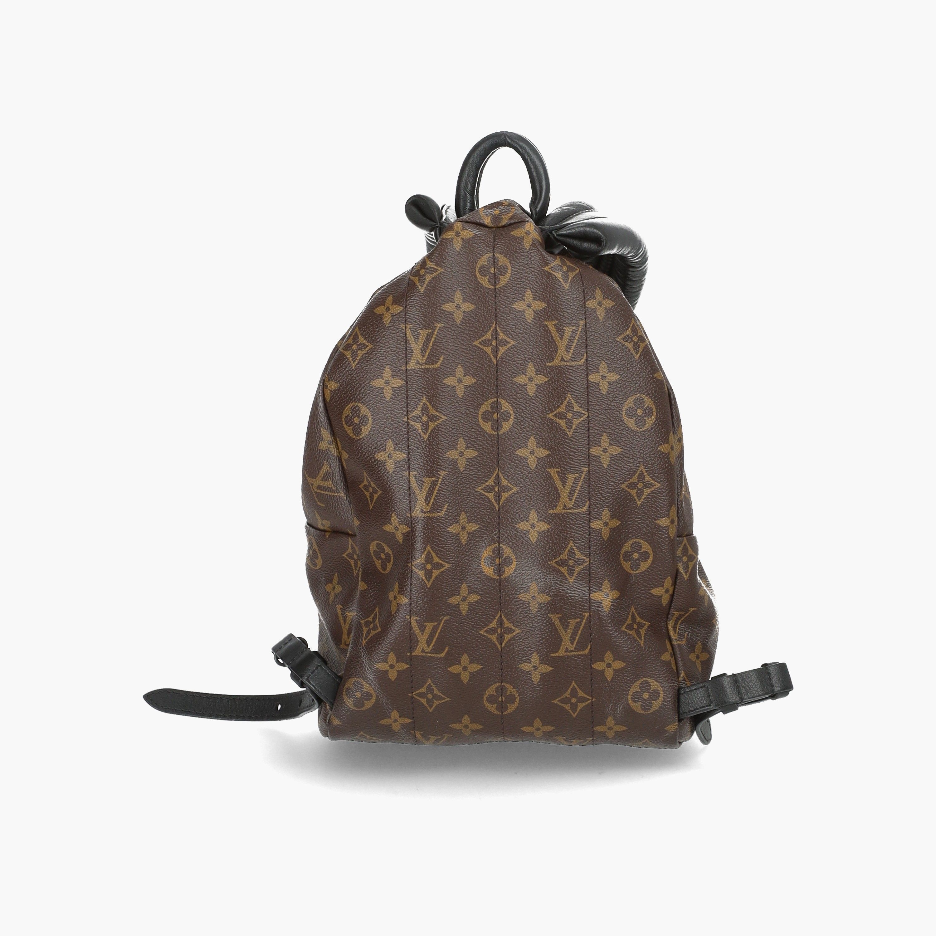 Pre-owned Louis Vuitton Reverse Palmsprings Pm Backpack
